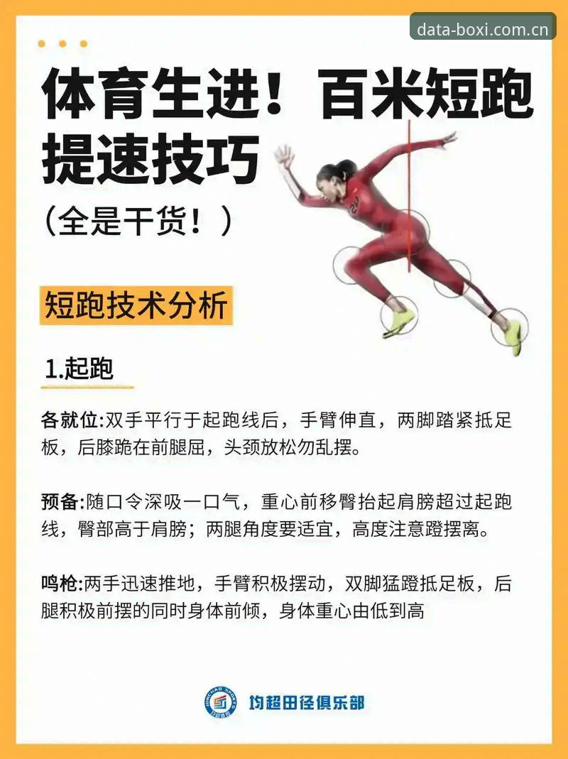 博喜体育使用技巧详解：从入门到数据达人的实战经验分享